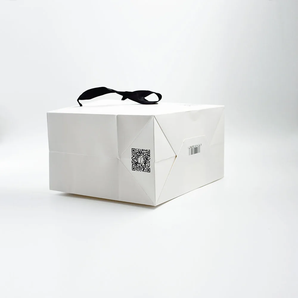 FTS Custom Recyclable Printed High Quality Kraft Paper Lunch Bag Food Bag With Twisted Handles