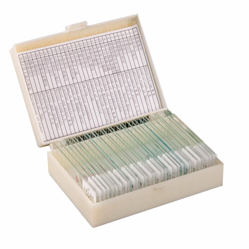 30pcs Bacteriology Microbiology Prepared Glass Microscope Slides Set For Medical Research