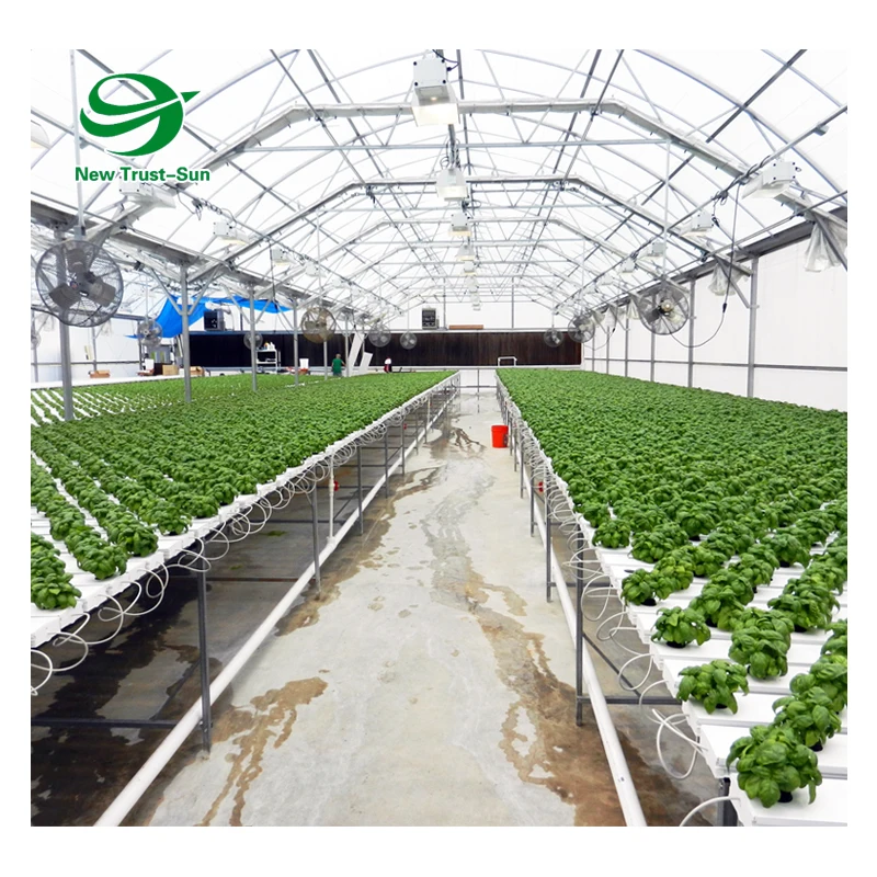 
Hot Sale Greenhouse Movable/ Ebb and Flood Rolling Benches/Seeds 