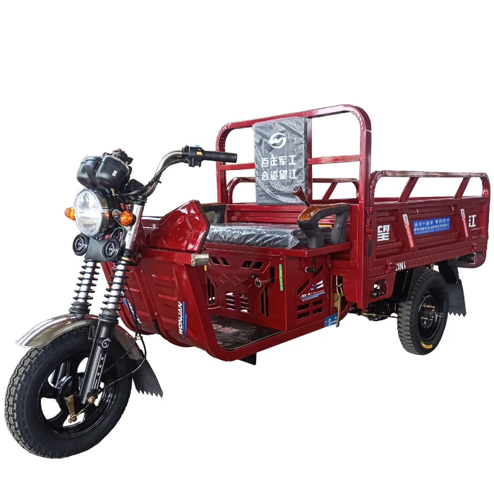 Dump cargo motor tricycle load tricycle motorcycle 3 wheels tricycle for freight