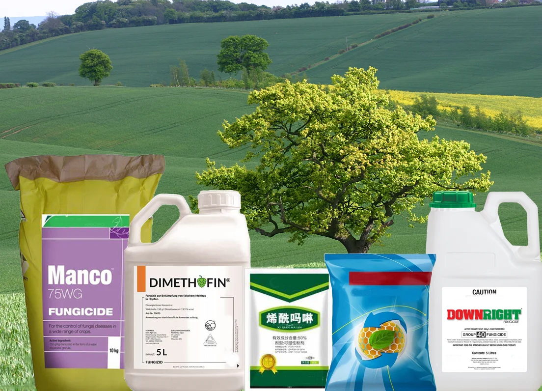 Dimethomorph 50%WP 80%WDG 80%WP Acrobat Forum Festival Invader 110488-70-5 Pesticide Fungicide