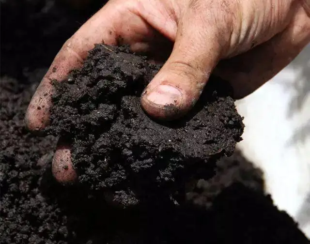 
food waste to organic fertilizer compost machine kitchen leftover composting machine 