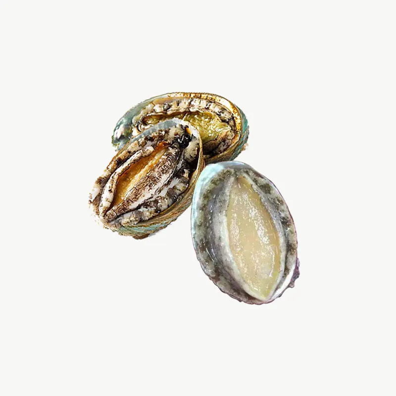 Frozen Abalone for supermarket