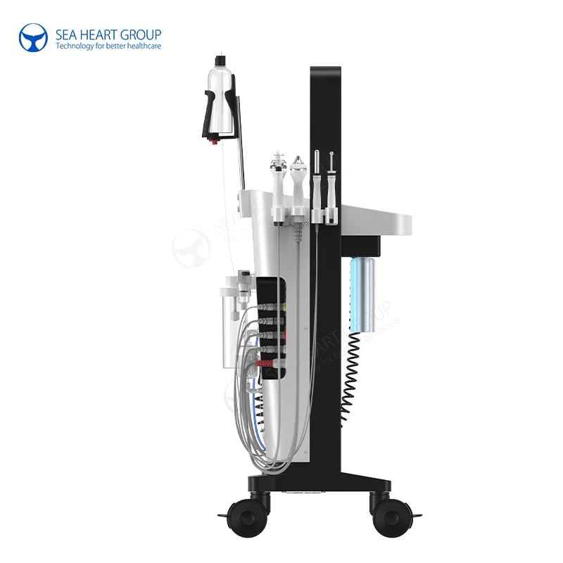 HydraMaster pro facial dermabrasion diamond high frequency crystals peeling crystal hydro microdermabrasion machine