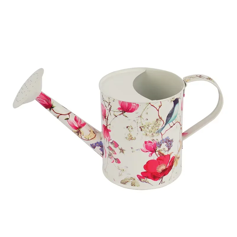 1.3L Various Printed Pattern Outdoor Irrigation Tools Vintage Iron Metal Garden Watering Can Kettle For Flower