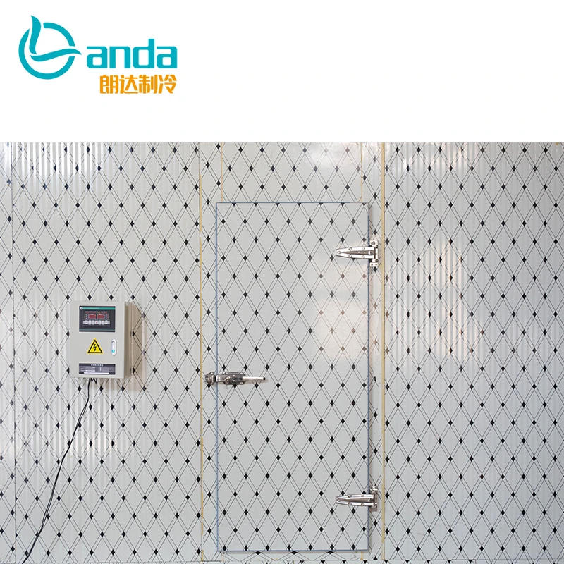Walk in Chiller Cold Room Manufacturer Cold Storage Freezer Room with Refrigeration Equipment
