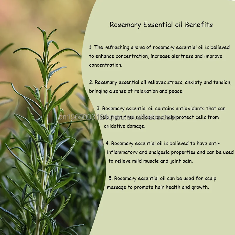 Rosemary pure essential oil manufacturer natural oil extract diffuser skin care humidifier and perfume