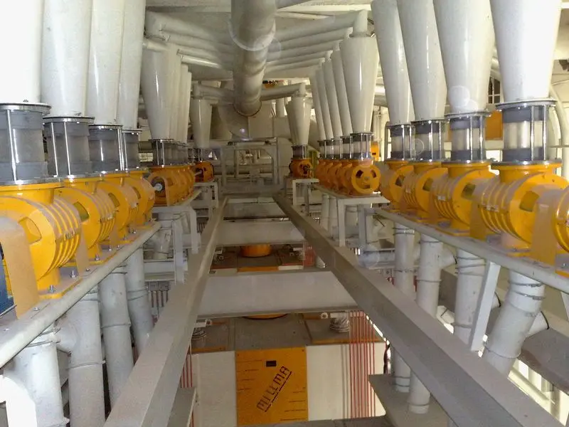 Чечевица зеленая, Казахстан, оптовая продажа, натуральные органические зеленые линзовые бобы первого класса, упаковка 50 кг