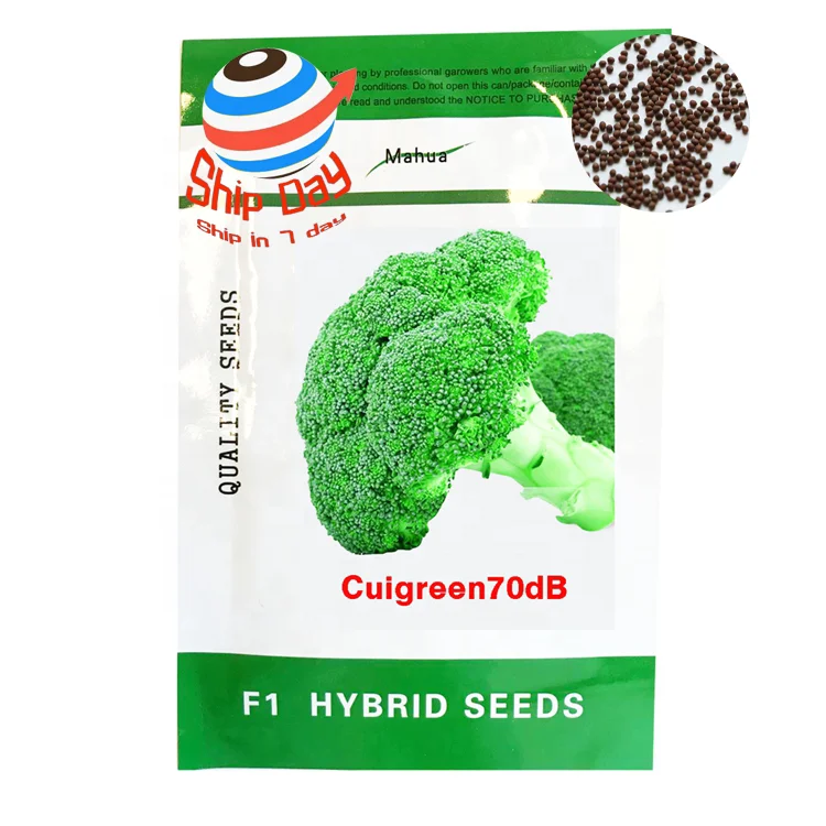 
2021 newest F1 hybrid green 70 days harvest fast growth broccoli seeds 