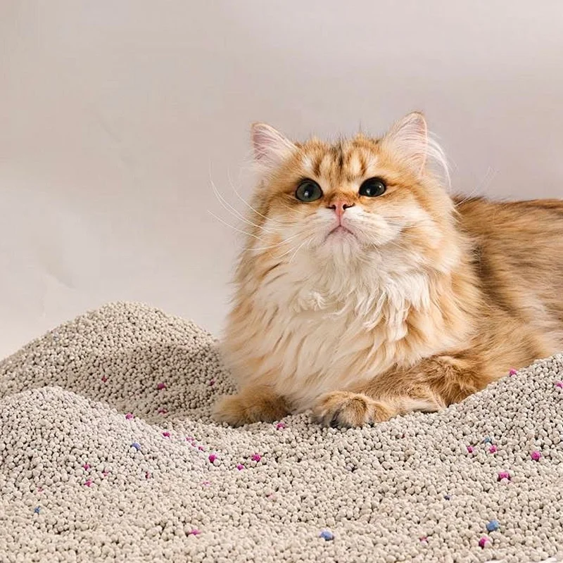 Premium Tofu Cat Litter Sand 100kg Low-Priced Snow Globe Mix with Taste 5kg 12 Litres Cat Litter with Logo