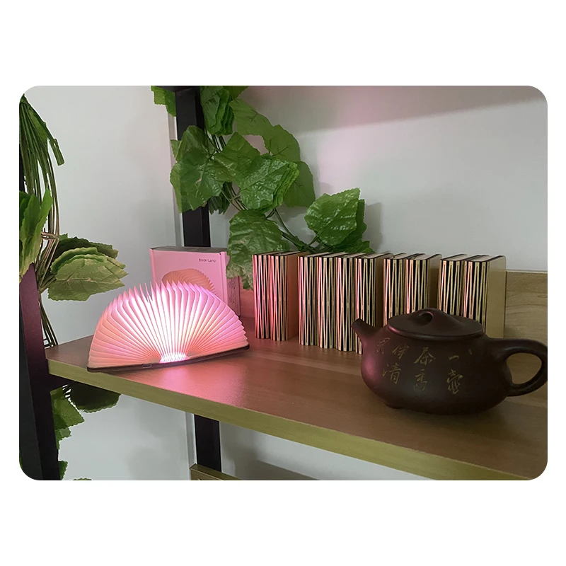 Customized Mini Design Vintage Change Color Wooden Shell LED Book Lamp Light