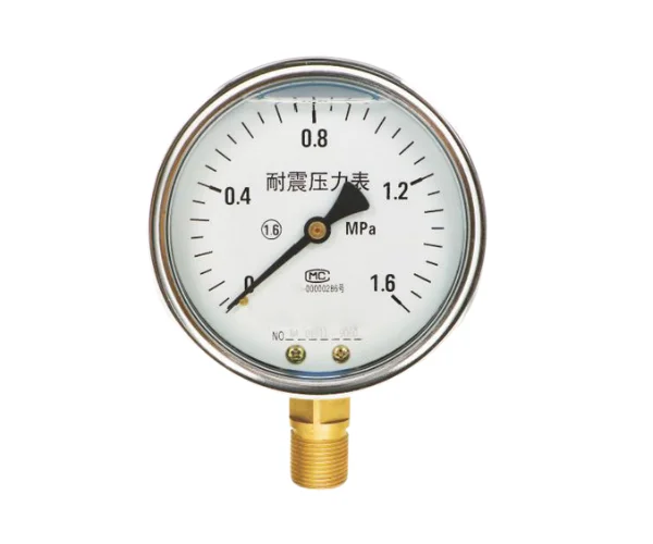 Stainless Steel Pressure Gauge for Accurate Measurement
