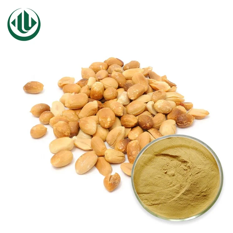 New and Original Tartary Buckwheat Extract Powder Soba-cha Powder Caffeine Free