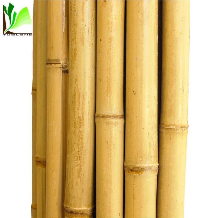 Good quality raw bamboo flag pole