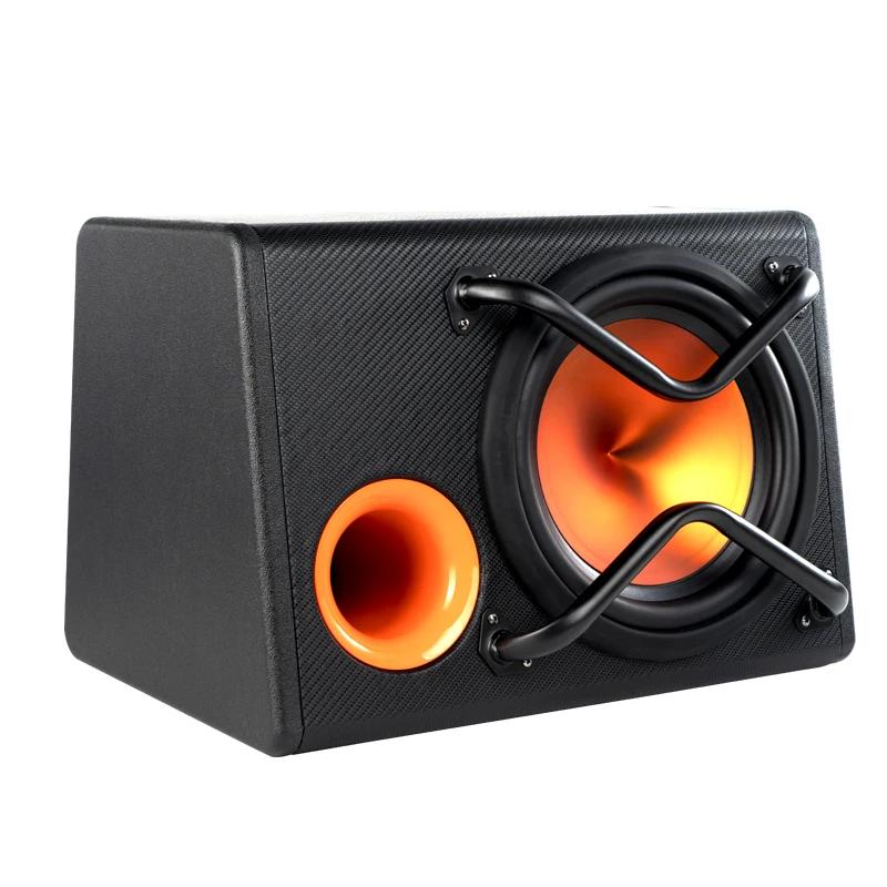 New style 10 inch Car Audio Subwoofer car subwoofers with box and amp