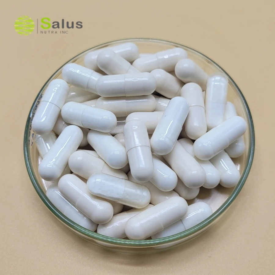 NAC Capsules N-Acetyle Cysteine 500mg NAC Supplement ISO22000 and HALAL Certified Products