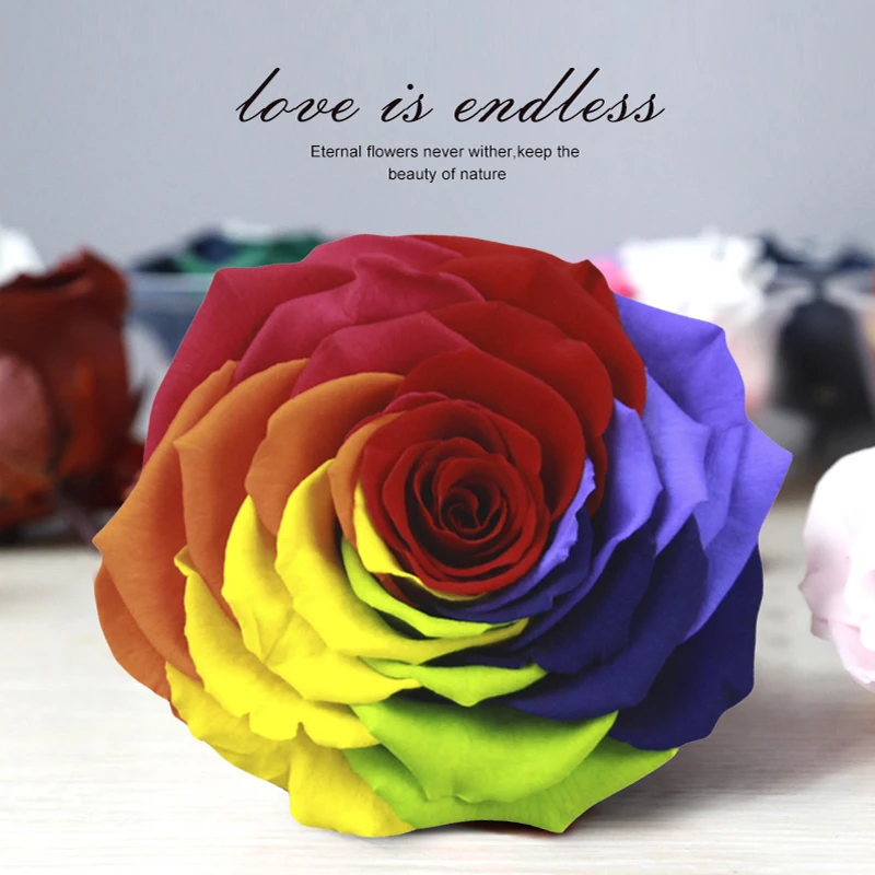 Wholesale AA Grade A Premium Quality 9-10cm Rainbow Preserved Rose Head