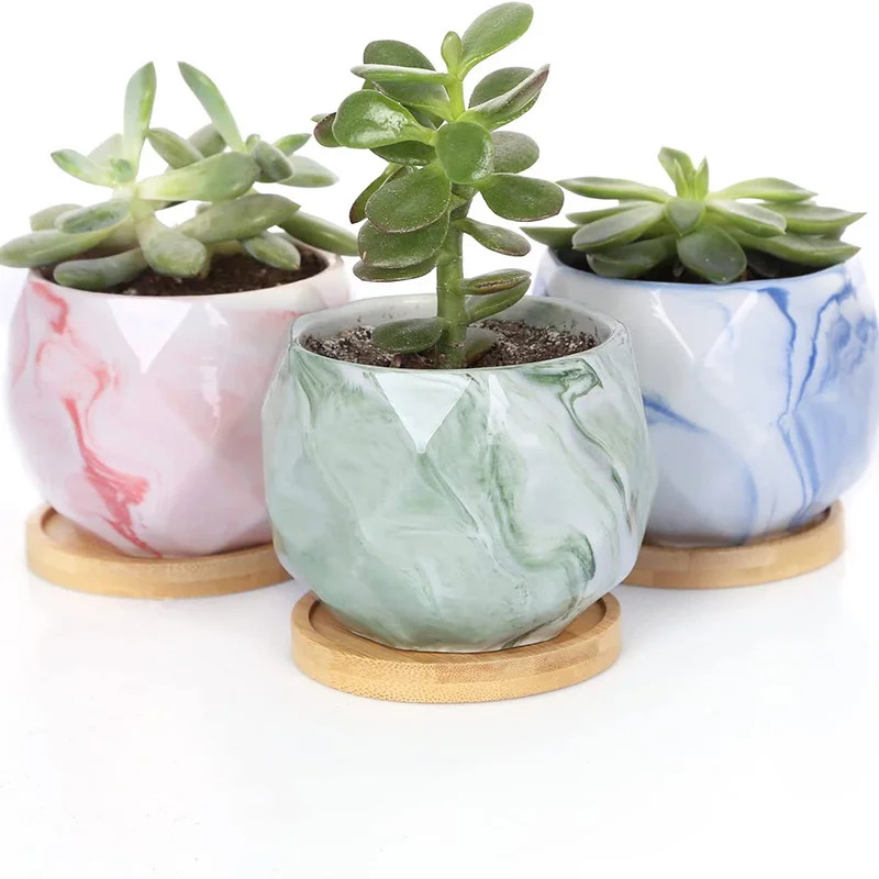 Ceramic Flower Pot Potted Bamboo Tray Planter Arrangement