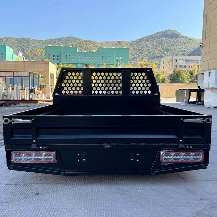 ute tray and canopy toolbox for dual cab