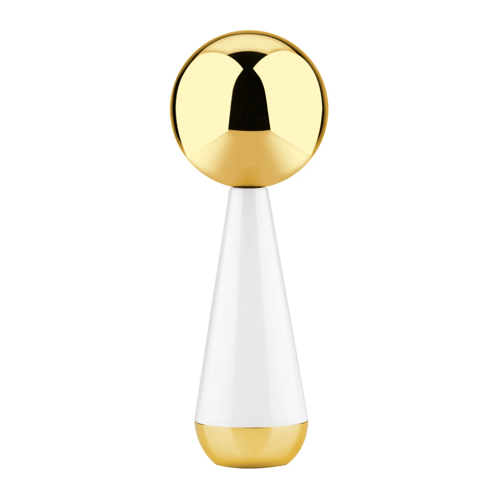 Stainless Steel 360 Rotating Face Iced Ice Roller Facial Ice Globes for Face