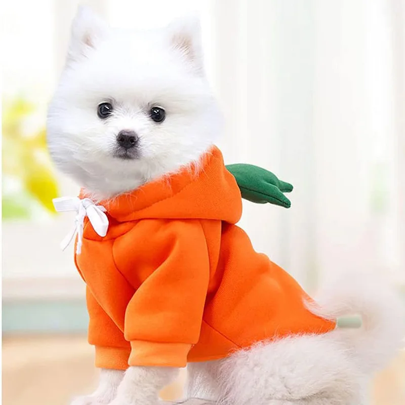New Dog Hoodie Pet Fruit Clothing Cat Warm Winter Sweater Jacket Pullover Puppy Hooded Sweatshirt