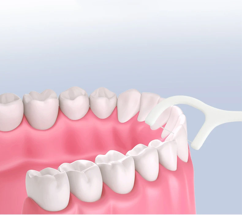 Bulk Eco Friendly Bamboo Charcoal Reusable Vegan Plastic Toothpick Dental Floss Picks Flosser