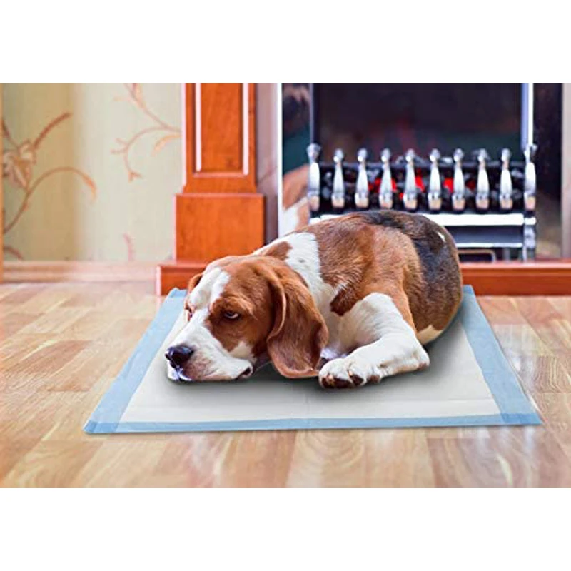 OEM Incontinence Pads Men Couche Pour Adulte Popok Dewasa Disposable Adult Diapers Men Pad