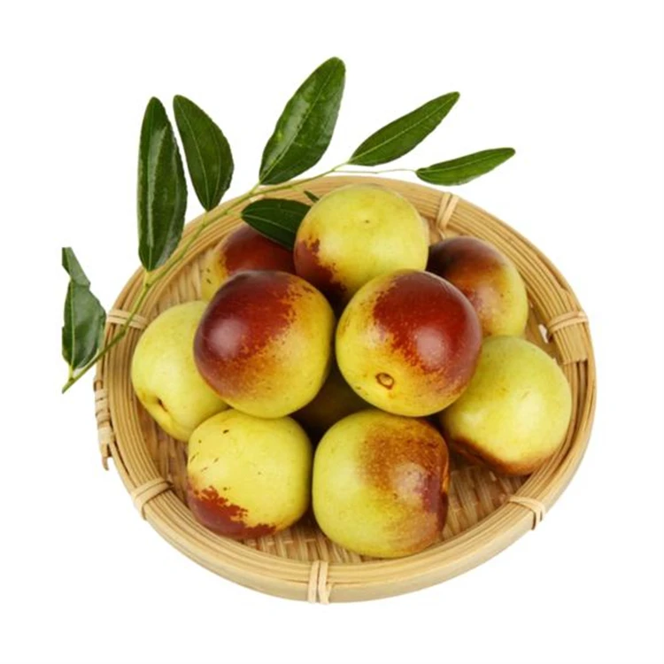 
High quality frozen winter jujube new corp winter jujube fruits from China 