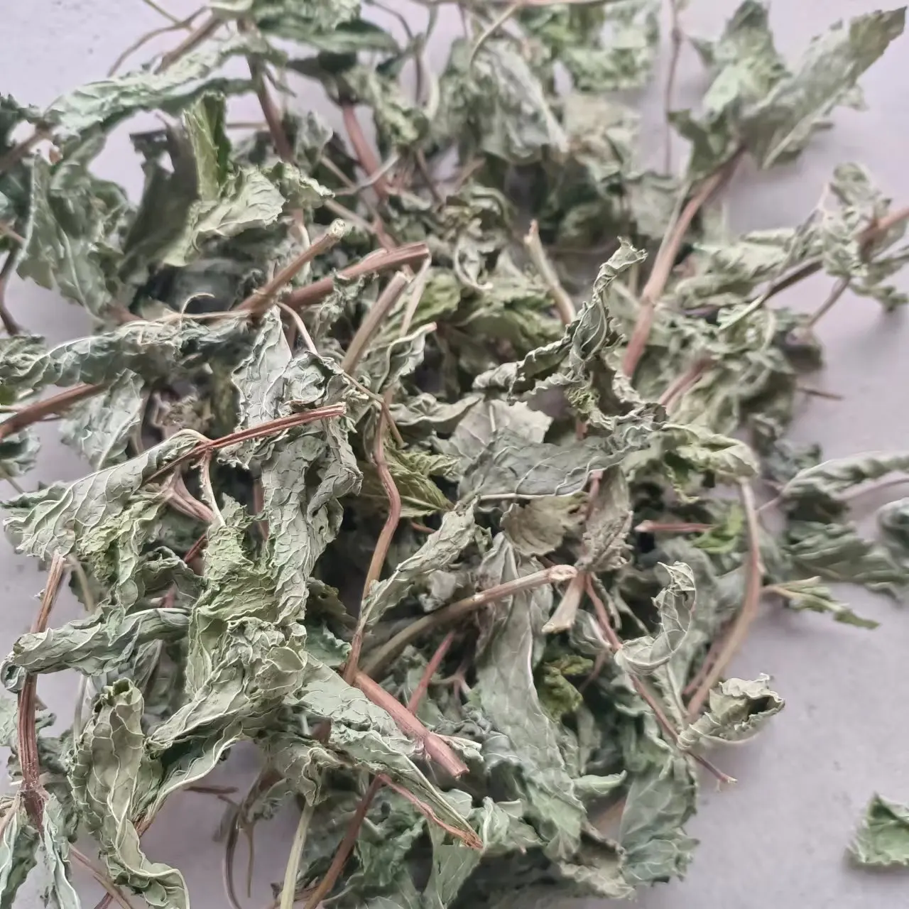 Liu Lan Xiang Wholesale High Quality Natural Chinese Herb Spearmint