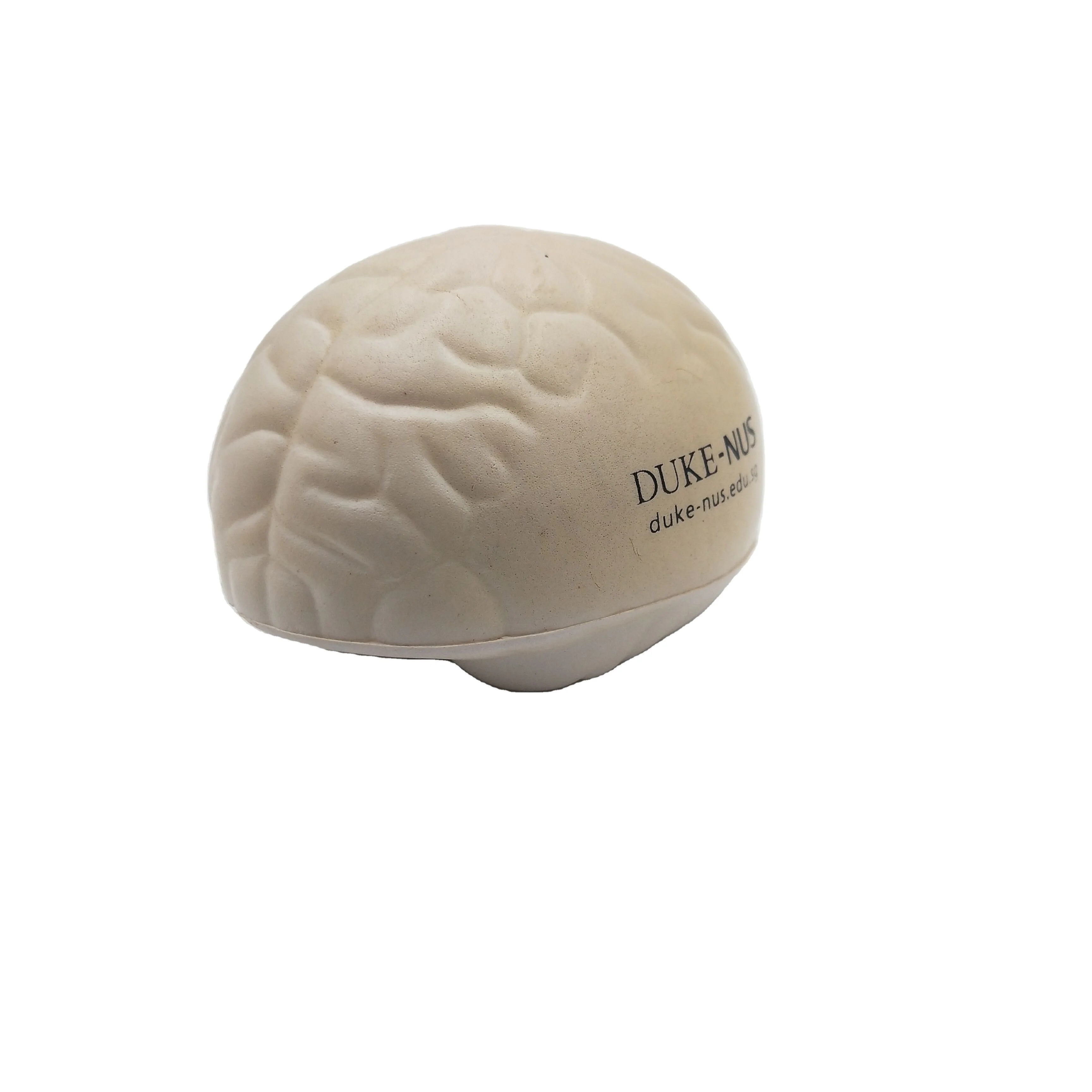 Wholesale PU squishy toy brain shaped stress ball soft toy brain,pu slow rising stress ball brain shape toy teaching aids