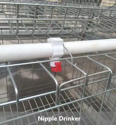 Лидер продаж поставщик клетки для животных яичный слой оборудование птицеводства вывода цыплят тип A клетка цена на продажу