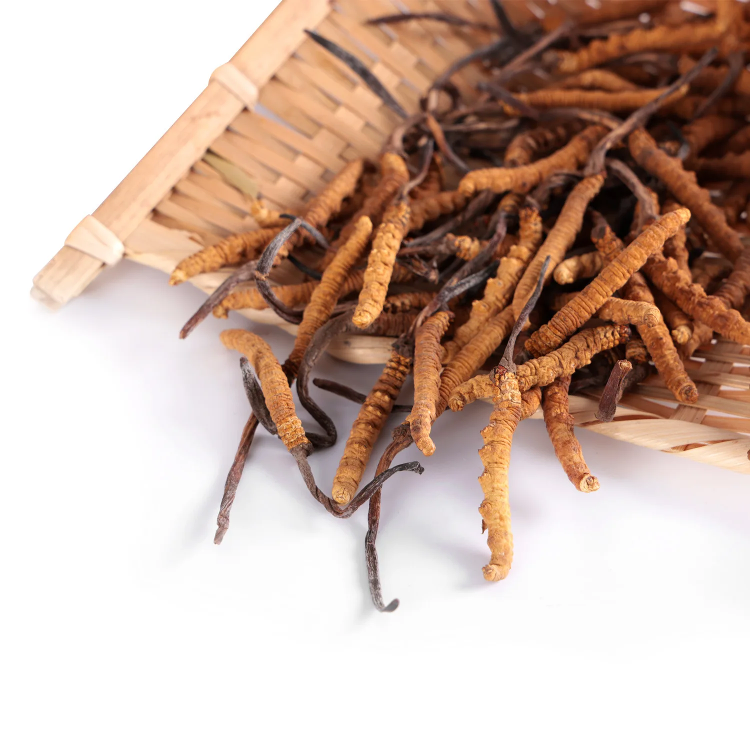 500g Tibet Whole Plant Cordyceps Natural Tiens 100% Herbal Cordyceps Sinensis