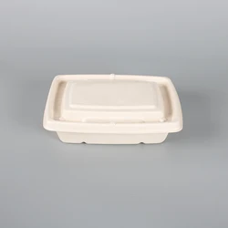 Eco 9 Inch Round Biodegradable Plates Corn Starch Disposable Tableware Lunch box