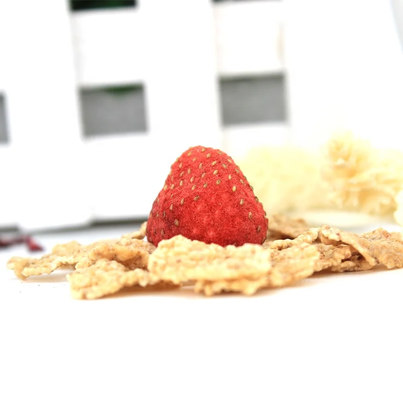 
TTN Sale freeze dried fruit fd fruit mix fruit 