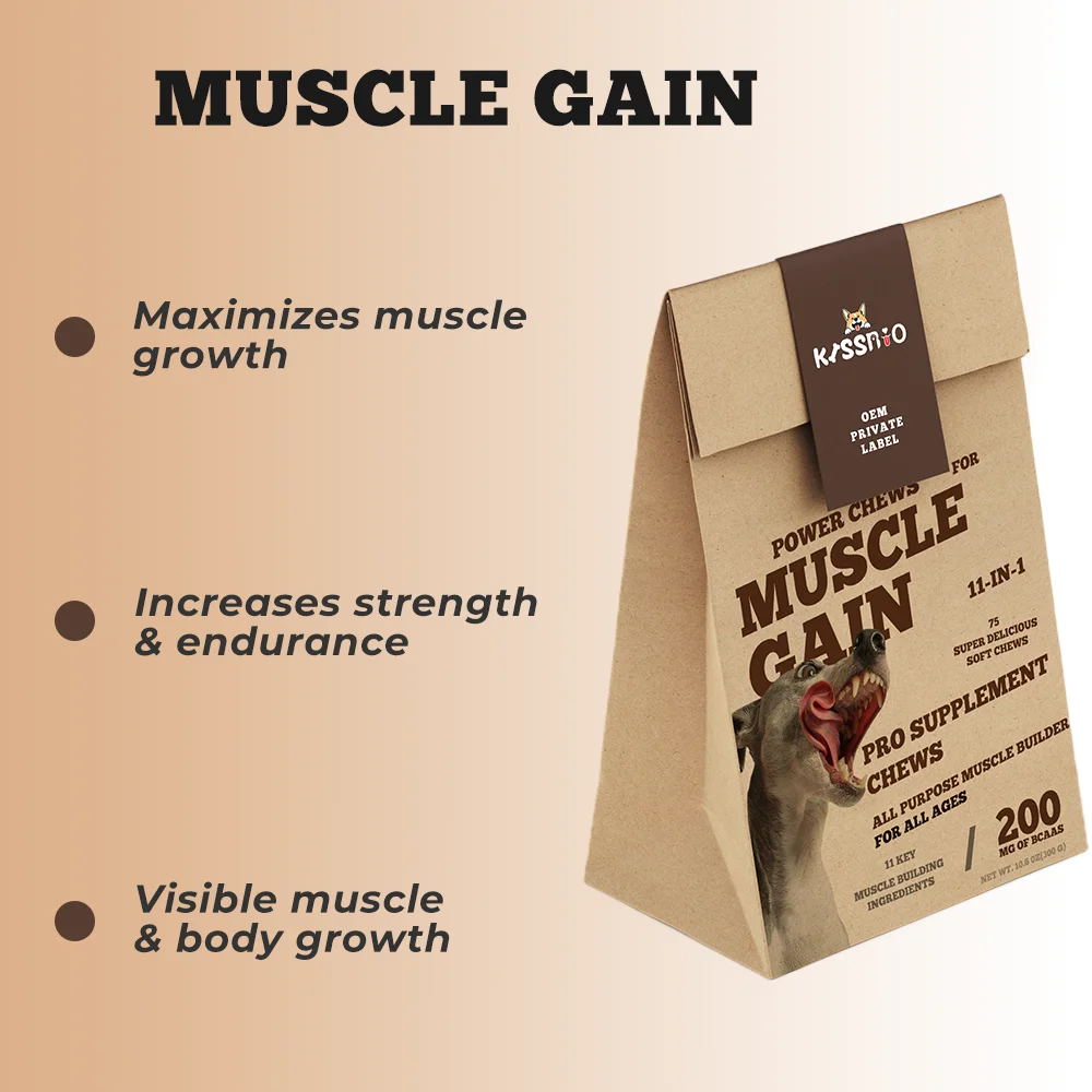 OEM/ODM High Protein 11-in-1 Muscle Gain Soft Dog Chews Premium Supplement for All Breeds Cats 11-in-1 Application Powder Form