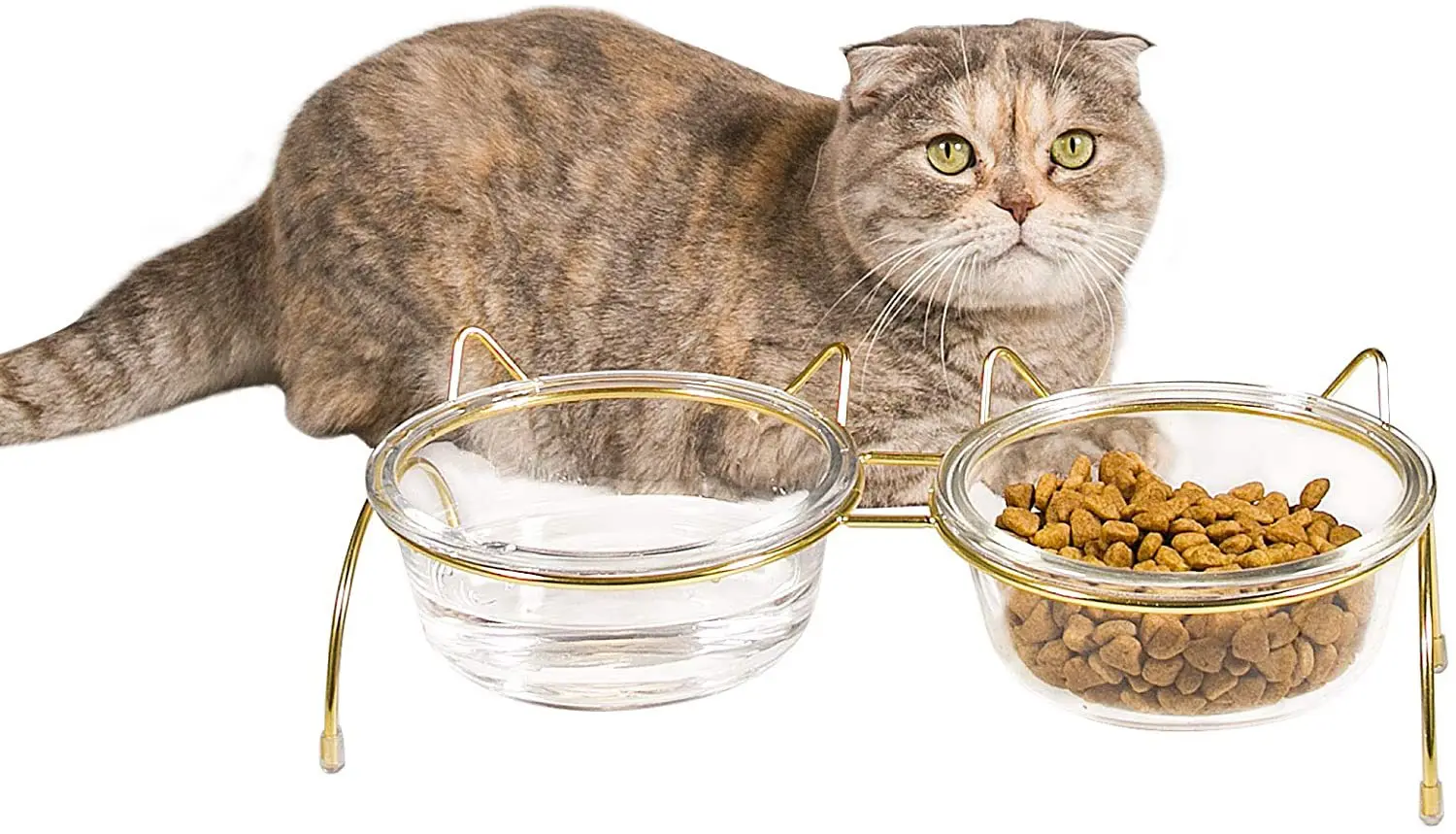 Personalized Elevated Raised Tilted Slanted Glass Stainless Steel Heated Cute Bowls For Cat Dog