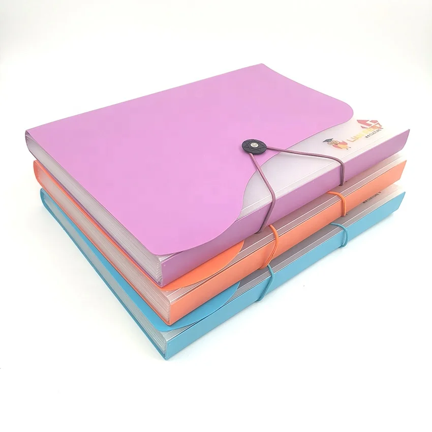 Папка-органайзер для документов формата A4 из прозрачного полипропилена