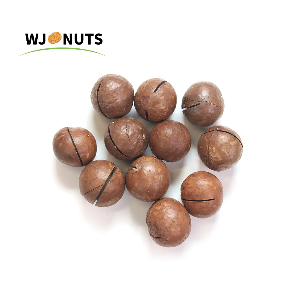 wholesale price  cream flavour roasted macadamia nuts with shell