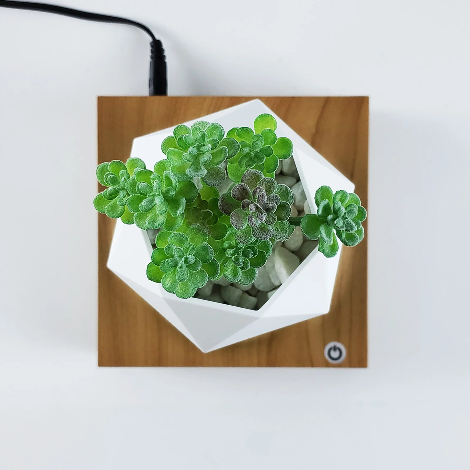 Magnetic Levitating Plant Pot Holder Wood Design Rotating Floating Pot Planter for Home Decorative Pot