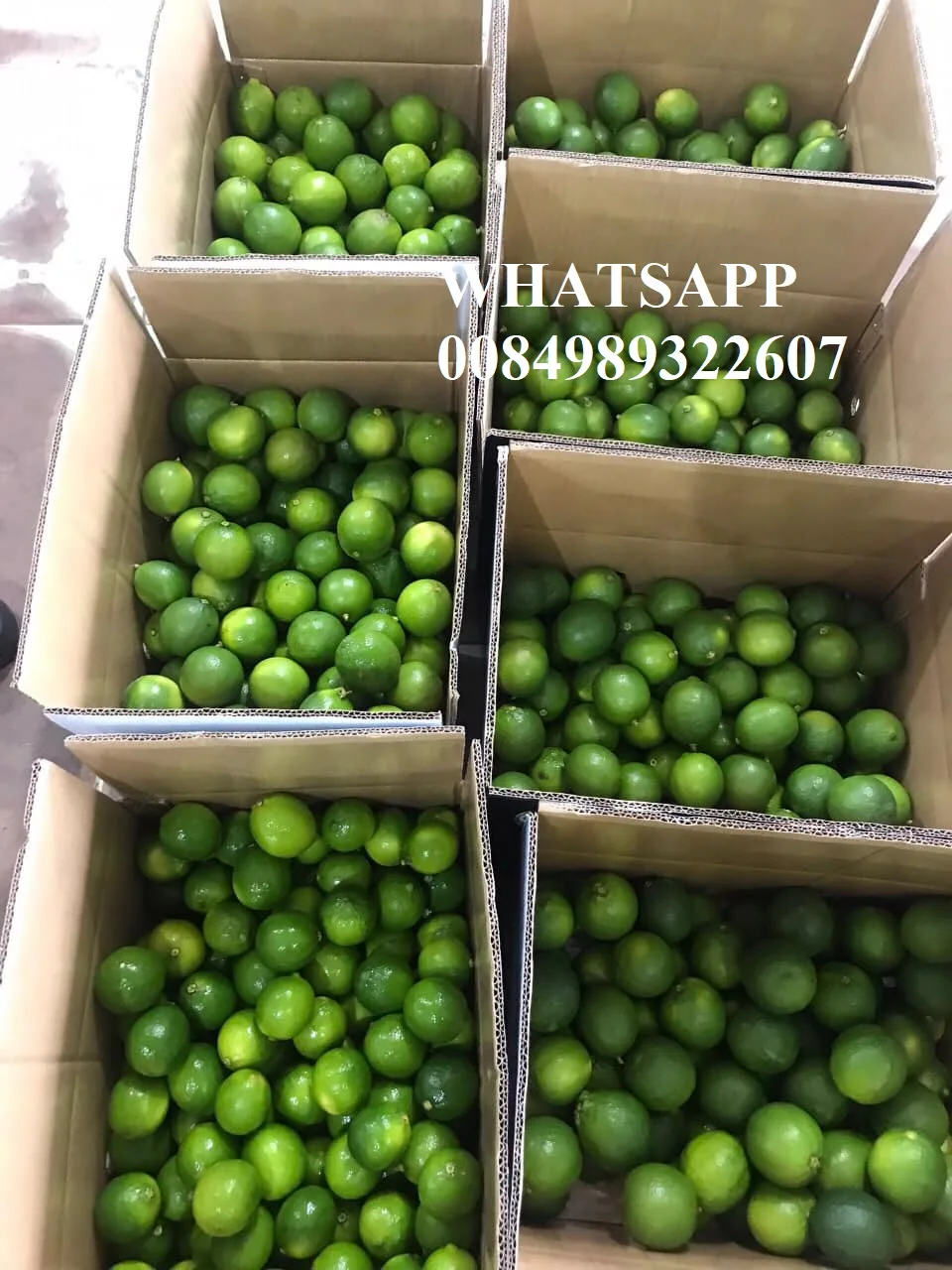 lime.jpg