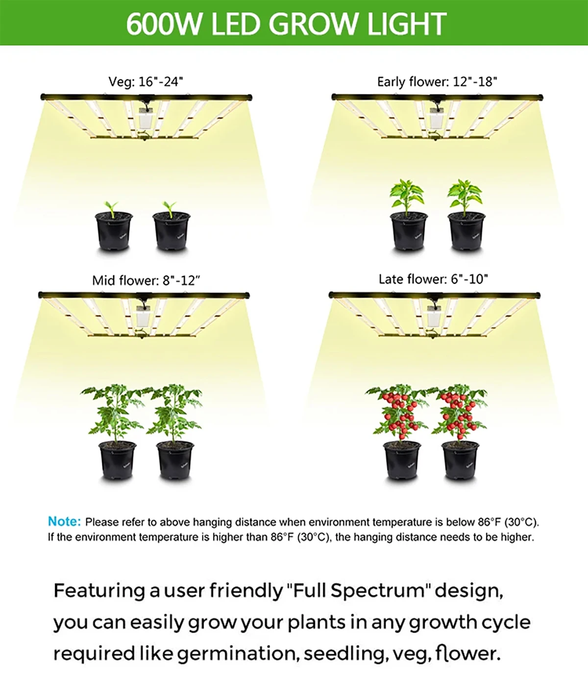 Greenhouse Hydroponics System