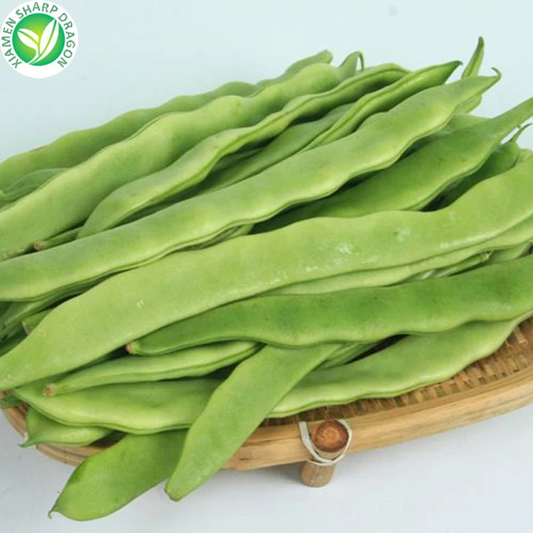 
IQF Wholesale price green long frozen romano beans for sale 