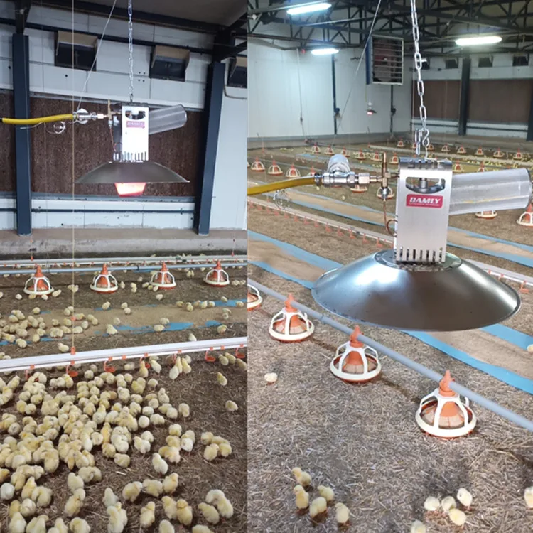 
waterproof heating lamp chicken gas brooder for poultry farm/ chicken house 