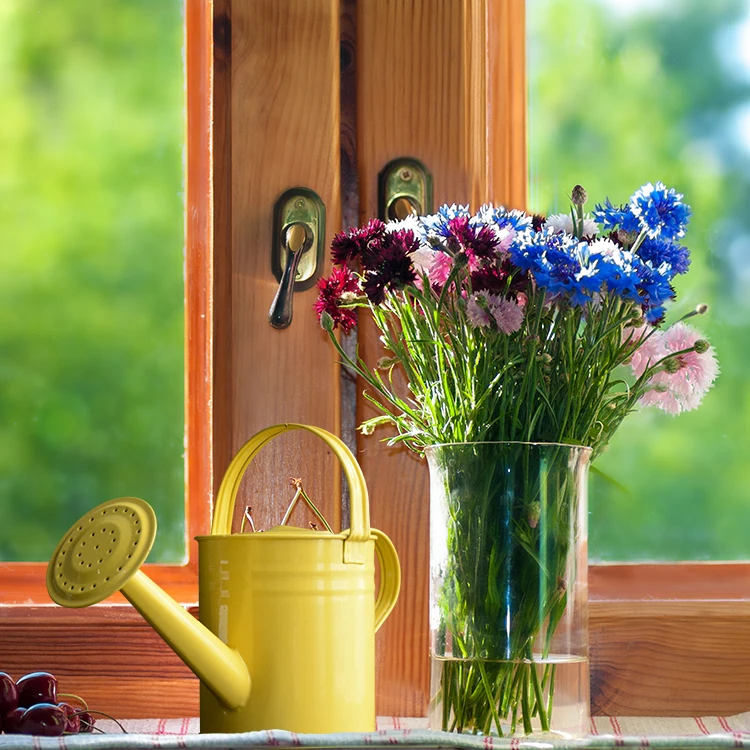 Vintage style 3.8L mini watering can galvanized stainless steel decorative plant watering can