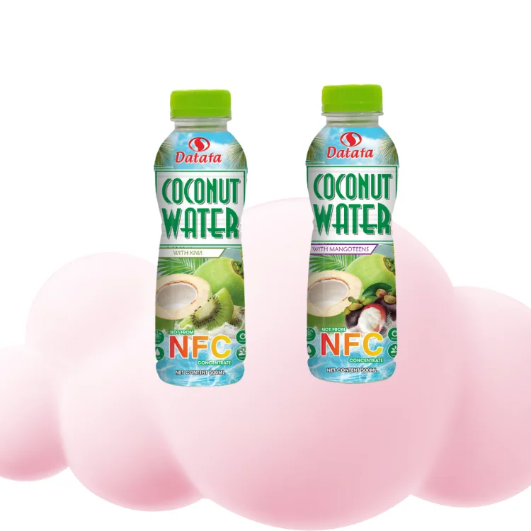 Coconut Drink Nfc Using For Drink Herbal Tea Juice Production Line Customized Logo Carton Box Vietnam Manufacturer