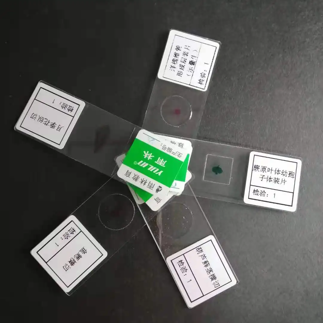 Mixed microscope glass slides set microbiology prepared slides kids children educational stain laboratory consumables