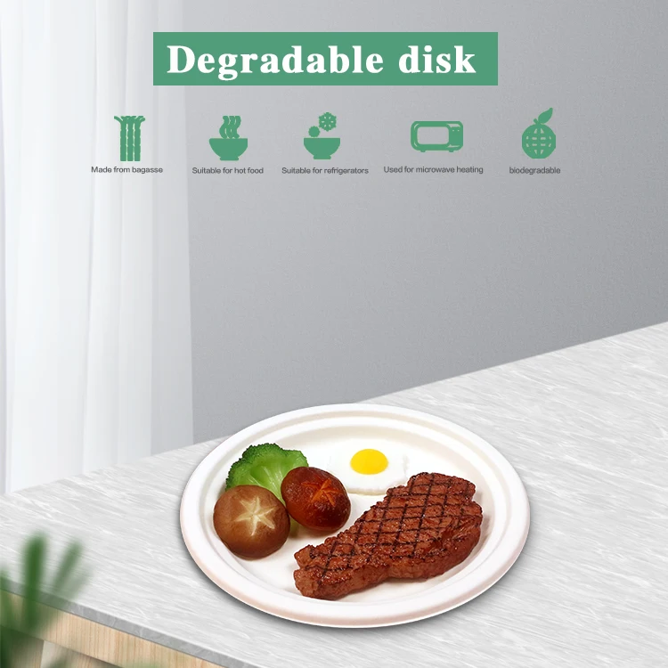 9 inch Eco-Friendly Natural Sugarcane Fiber Compostable Disposable Bagasse Plates