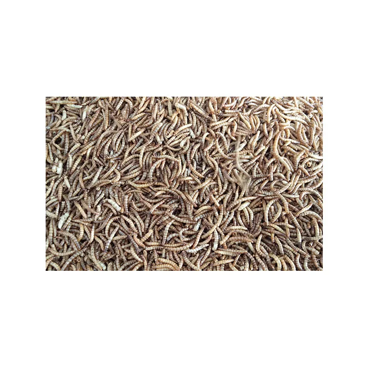 
 Высокое качество Сушеные mealworms для диких птиц  