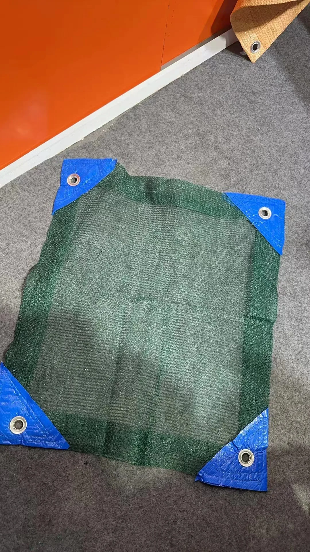 for fruit olive fruit walnut dark green olive net