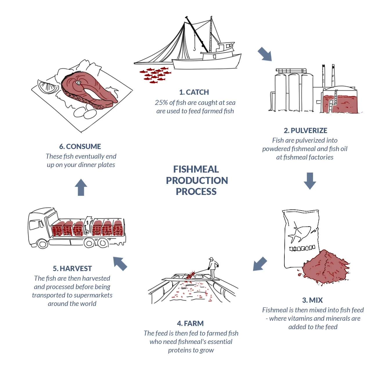 fishmeal-process